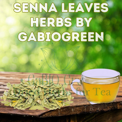 Gabio Green (2oz) Natural Senna Leaves Hoja Sen Dried Herbal Leaves, Senna Raw Leaf, Hoja Sen Cut & Sifted Herbs