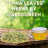 Gabio Green (2oz) Natural Senna Leaves Hoja Sen Dried Herbal Leaves, Senna Raw Leaf, Hoja Sen Cut & Sifted Herbs