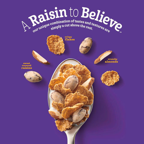 Raisin Nut Bran 20.8 oz Cereal, High Fiber Cereal, Made with Whole Grain