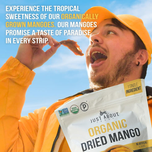 1 lb. Dried Mango Slices Juicy & Delicious, No Added Sugar, Non-GMO, Healthy Snack, Bulk Resealable Bag, Just About