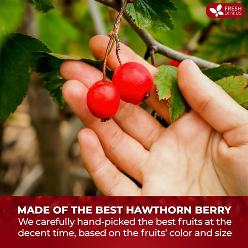 16oz FreshDrinkUS, Premium Dried Hawthorn Berries All-Natural, Non-GMO, Perfect for Tea, Smoothies, Baking & Snacking