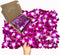 Miami Fresh Orchid Loose Bloom PERISHABLE flowers OrchidClub USA Sunne Tropical DIY