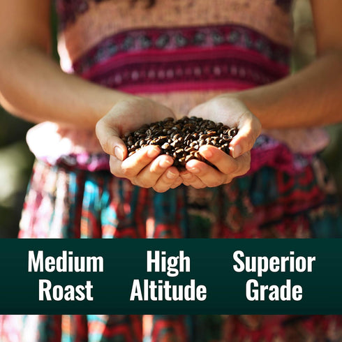 10 oz Natural Force Organic Mold Free Coffee, High CGA Coffee, Mycotoxin Free, Low Acidity, Incredible Taste & Aroma