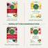 Immune 16 Traditional Medicinals Organic Zoom Lemon Ginger Tea - Ct.