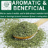 2 Oz Spices Village Mint Leaves, - Fresh Dried Spearmint Herbs, Crushed Mint Spice Great for Loose Leaf Tea, Dry Mint