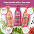 Pack 6 (12 oz) Karviva Organic Juice Cleanse Weight Control - Ancient Remedies to Curb Sugar Cravings, Prebiotic Detox