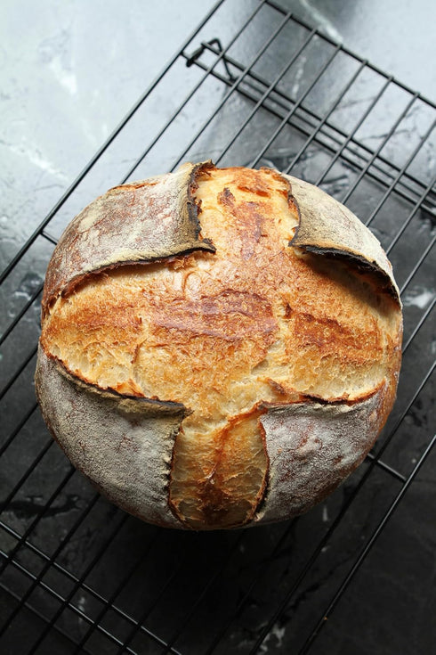 German Sourdough Starter - Active Sourdough Starter for Delicious Homemade German Artisan Bread - Heirloom Sourdough