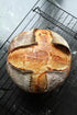 German Sourdough Starter - Active Sourdough Starter for Delicious Homemade German Artisan Bread - Heirloom Sourdough