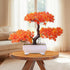 Stunning Red Flower Bonsai in Elegant Pot - Perfect Gift Idea