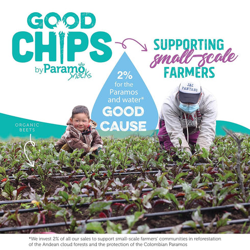 Pack Pack 8 Baked Apple, Pineapple & Sweet Plantain Chips/Crisps by GOOD CHIPS! Crispy, Crunchy, Oil-Free, Healthy