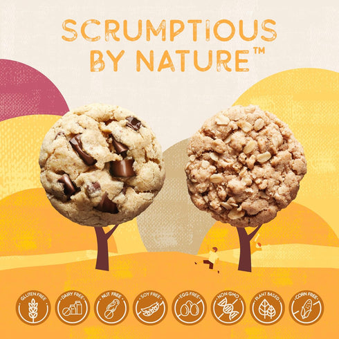 Autumn Sons Baking Co. Gluten Free Chocolate Chunk & Oatmeal Cinnamon Cookie Mix Combo Pack, Vegan Plant Based