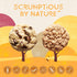 Autumn Sons Baking Co. Gluten Free Chocolate Chunk & Oatmeal Cinnamon Cookie Mix Combo Pack, Vegan Plant Based