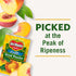 15 oz (Pack 12 Del Monte Sliced Yellow Canned Peaches in Extra Light Syrup, Can of Cans)