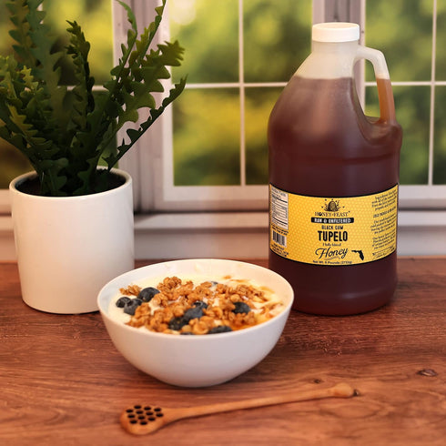 6 HONEY FEAST Pounds Black GumTupelo Honey - Authentic Raw Florida Blend, Pure American Bulk Sweetener