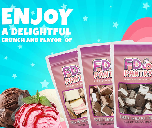 (3 Pack) Freeze Dried Cheesecake Bites & Ice Cream Sandwich Bites - New York Style, Neapolitan, and Vanilla - Crunchy