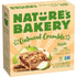 Nature's Bakery Oatmeal Crumble Apple Bars, 1.41 Oz, 6 Ct