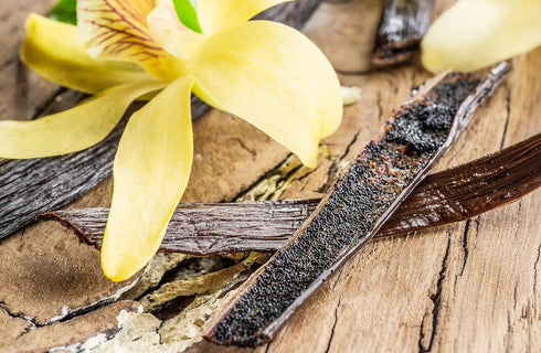 1 Ounce Mexican Vanilla Beans Whole Grade A Gourmet Vanilla Pods for Homemade Vanilla Extract and Baking from Veracruz