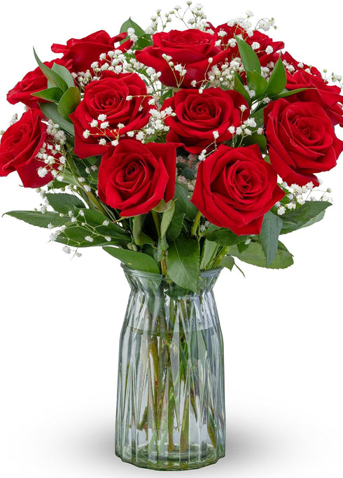 Benchmark Bouquets - Red Roses Bouquet - Fresh Flowers for Delivery -
