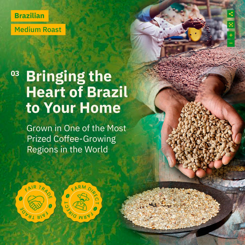 12oz Organic Specialty Whole Bean Coffee - Freshly Roasted to Order - Medium Roast, Single Origin Brazilian Santos