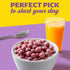 21.6 oz Mott's Very Berry Cereal, Made with Apple Puree, Whole Grain, Family Size