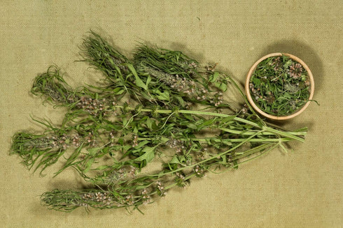 Health Embassy Motherwort Herb, Leonurus Cardiaca L, Herbal Tea (100g)