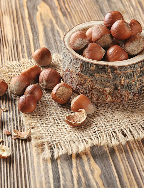 1 lb, Filberts, Oregon Large Hazelnuts in Shell, Whole Raw Kosher, Non-GMO, Fresh Buttery Taste, Easy to Crack in Bag