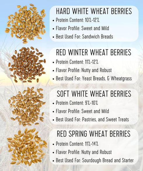 5 LBS 100% Palouse Brand Certified Glyphosate Residue Free Hard Red Spring Wheat Berries | | Non-Irradiated | Certified