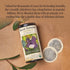 36 The Republic of Tea - Organic Elderberry Herbal Tea, Tea Bag Tin