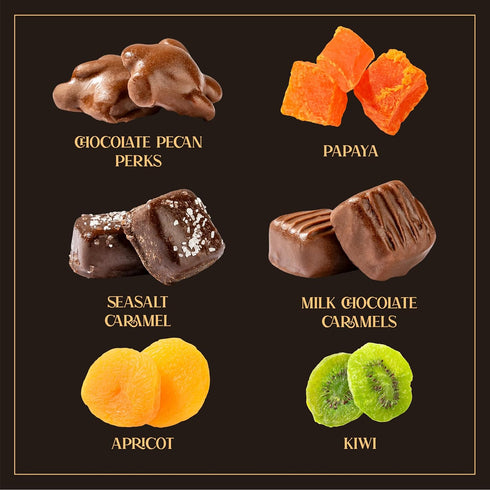Premium Fruit & Chocolate Gift Box Assortment with Chocolate Pecans, Dried Apricots, Kiwi Slices, Papaya, Sea Salt