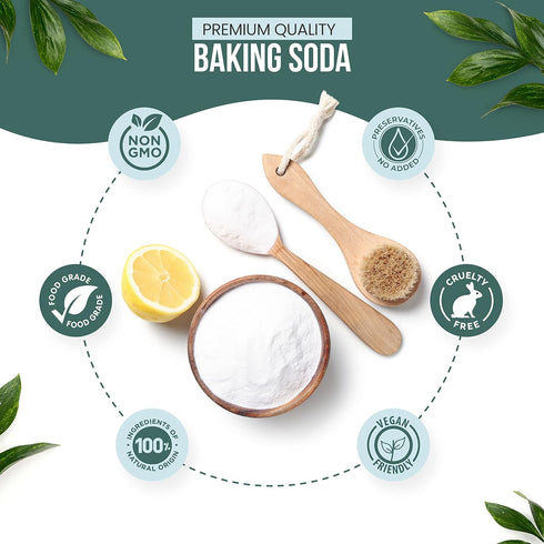 Eco-Lux Essentials (11 lbs.) Swimming Pure Baking Soda, Sodium Bicarbonate Food Grade for Cleaning, Baking, Bath Bombs