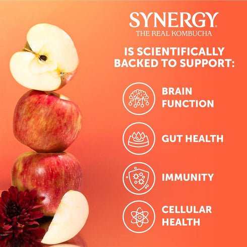 16 oz Immune SYNERGY The Real Kombucha Honeycrisp Apple - fl Bottle - Raw Probiotic Drink for Gut Health and Support