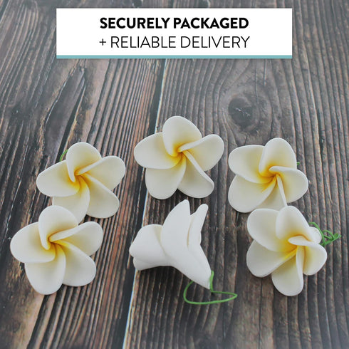 20 Count Global Sugar Art Tropical Frangipani Plumeria Sugar Cake Flowers, White by Chef Alan Tetreault
