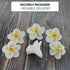 20 Count Global Sugar Art Tropical Frangipani Plumeria Sugar Cake Flowers, White by Chef Alan Tetreault
