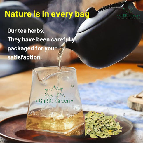 Gabio Green (2oz) Natural Senna Leaves Hoja Sen Dried Herbal Leaves, Senna Raw Leaf, Hoja Sen Cut & Sifted Herbs