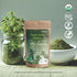 My Land Organic Greek Oregano from Mount Olympus, Greece - Dried Handpicked Tiny Cut Oregano Leaves in 50g Bag