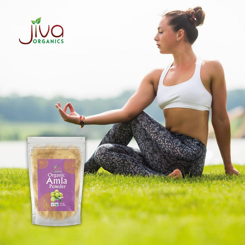 Jiva Organics Organic Pure Amla Berry Powder, 7 Ounce - Food Grade & Non-GMO