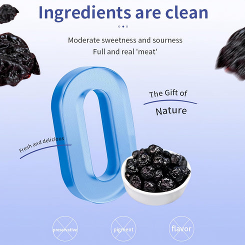 SYZJMWDY (200 Dehydrated Dried Blueberries | Wholesome Fruit Snacks | No Added Sweeteners & Plant-Based | Resealable