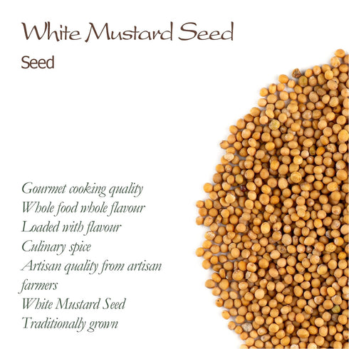 Yellow Mustard Seeds Whole - White Mustard Seed Spicy Ingriedient - Whole Mustard Seeds Yellow Whole Mustard Seed
