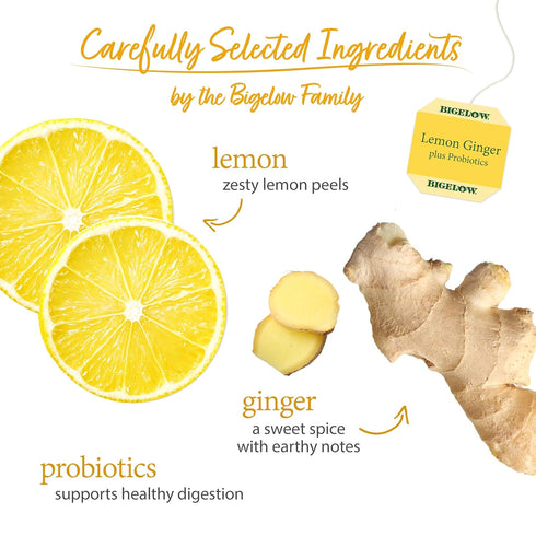 18 Count (Pack 6), 108 Bigelow Tea Lemon Ginger plus Probiotics Herbal Tea, Caffeine Free Tea with Lemon and Ginger