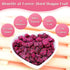 Haomly Fruit,8OZ/230g, Snacks,100% Freeze-Dried Dragon No Added Sugars,Sweet Dried Fruit Natural Red Dragon Fruit