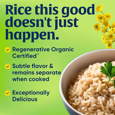 32 (Pack 1) Lundberg Regenerative Organic Brown Rice Long Grain, Kosher, USDA Certified Organic, Gluten Free & Non-GMO