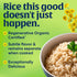 32 (Pack 1) Lundberg Regenerative Organic Brown Rice Long Grain, Kosher, USDA Certified Organic, Gluten Free & Non-GMO