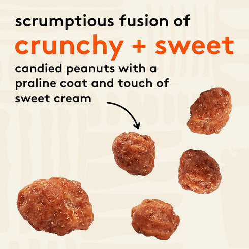 17 oz Snak Club Toffee Peanuts, Candied Peanuts with Praline Coat and Sweet Cream, Gluten-Free and Kosher Snack