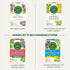 16 Traditional Medicinals Tea, Organic Everyday Detox Schisandra Berry, Supports Healthy Liver Function, Detox, Tea