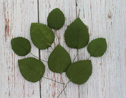 15 Count Global Sugar Art Hydrangea Leaves Sugar Cake Flowers Green Mix of Large Medium and Small, by Chef Alan