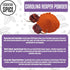 100% (1 Essential Spice Carolina Reaper Chili Powder Extremely Hot Ground Pepper with Fruity, Smoky Flavor Made from
