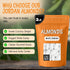 2 lb Packed Oh! Nuts White Jordan Almonds - - For Easter, Weddings, Baby Showers & Birth - in New York Zip-Seal Bag