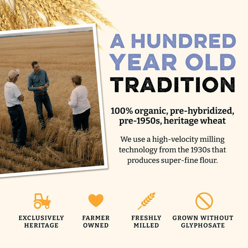 5 lbs Sunrise Flour Mill USDA Organic Heritage Pasta Flour - | Milled from Hard Red Wheat | Easier to Digest with Less