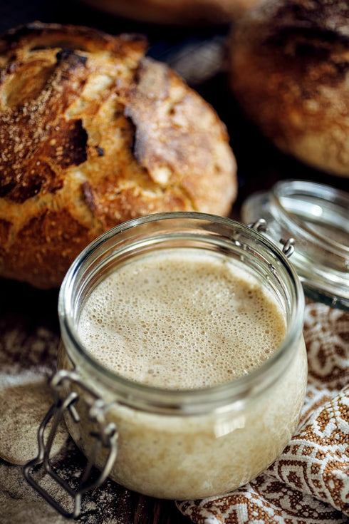 German Sourdough Starter - Active Sourdough Starter for Delicious Homemade German Artisan Bread - Heirloom Sourdough