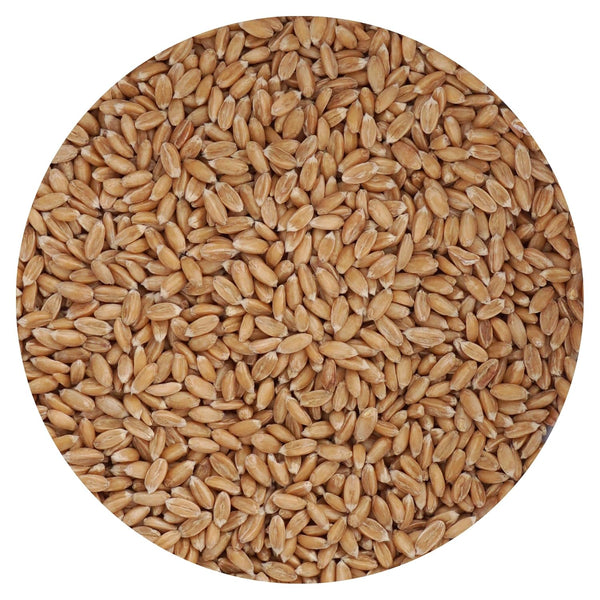 Spelt Berries, 1.5 Pound Bulk Bag, Hampton Distribution